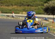 DSC_7101 copie